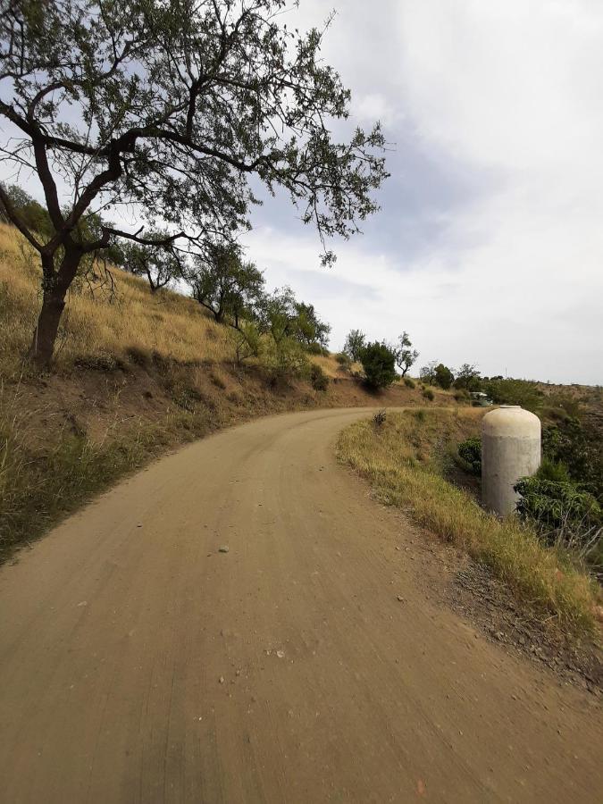 Attico Los Montes With Private Pool Viñuela エクステリア 写真