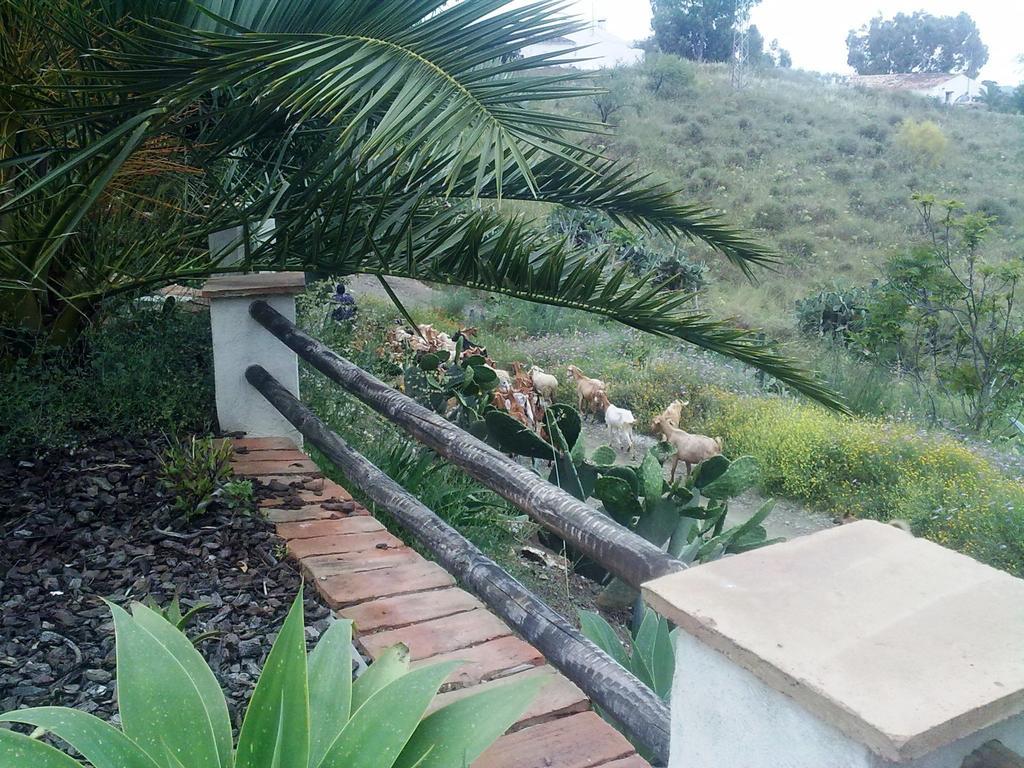 Attico Los Montes With Private Pool Viñuela 部屋 写真